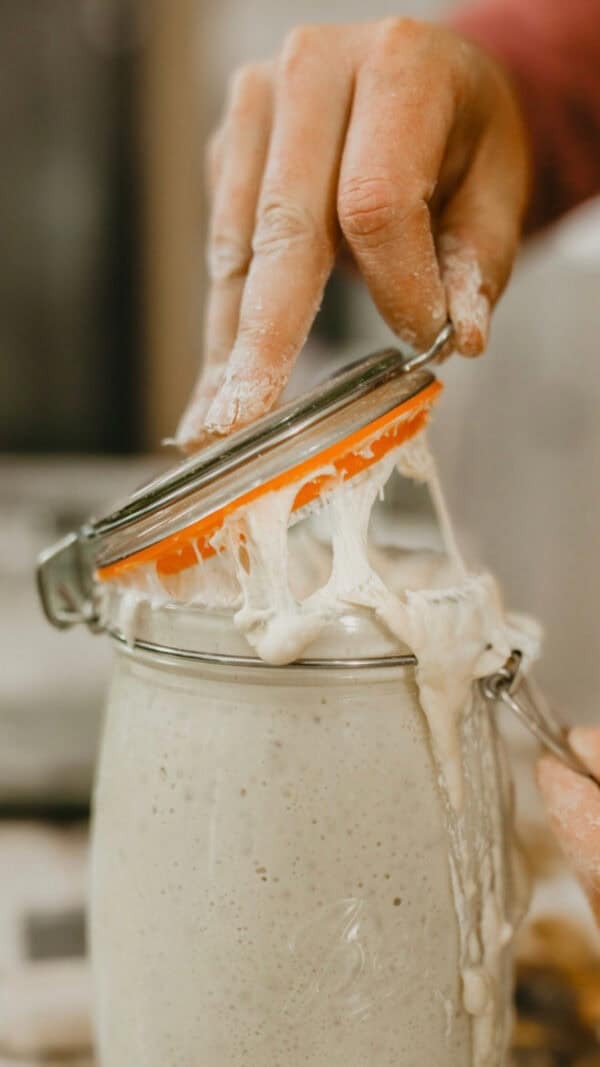 Sourdough Starter Beginner’s Kit + Digital Recipe Book