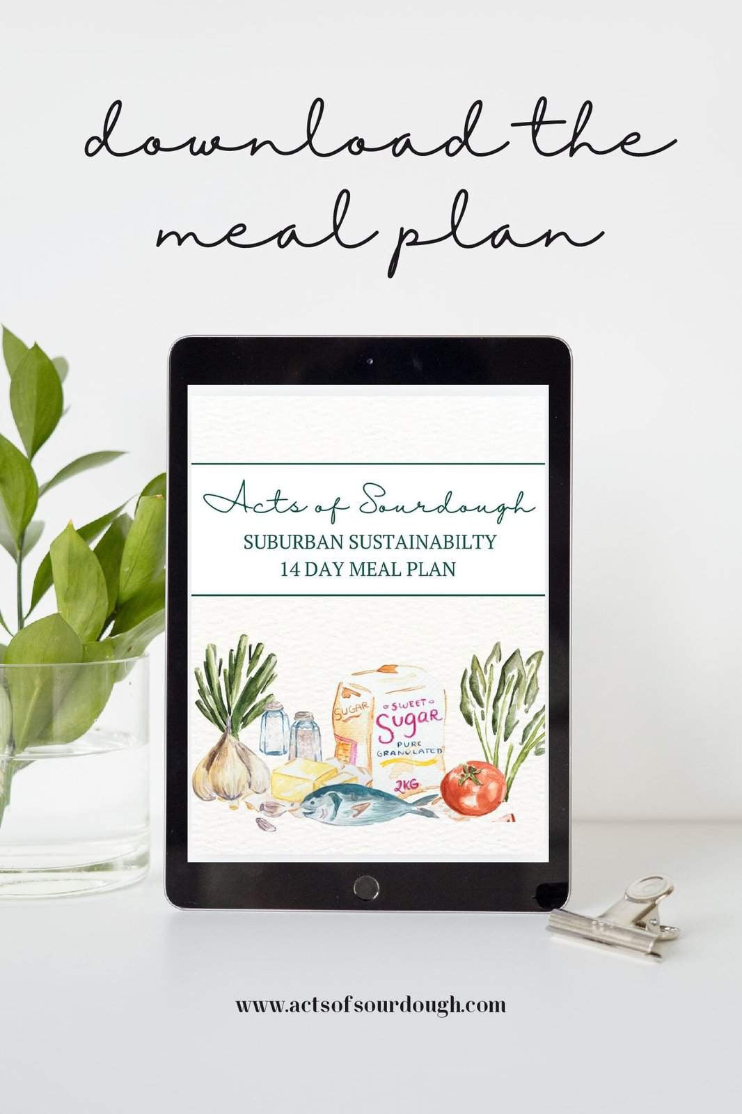 Digital Bundle-Stuffed Sourdough Book + Suburban Sustainability Meal Plan + Soup Book