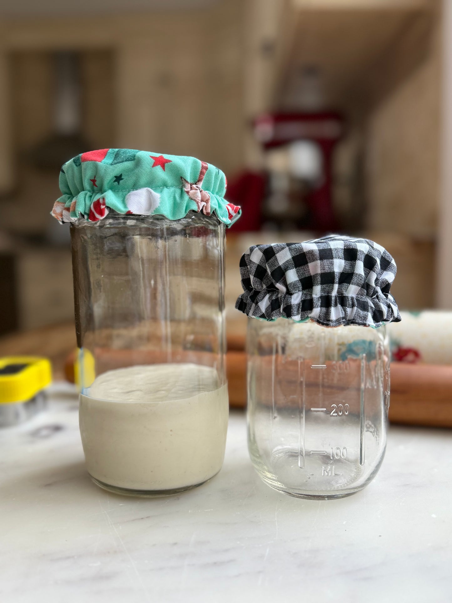 Holiday Jar Cover — Meowy Christmas