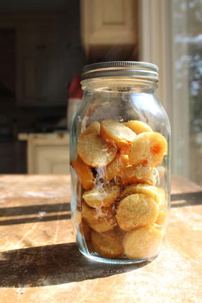 Sourdough Discard Little Bites