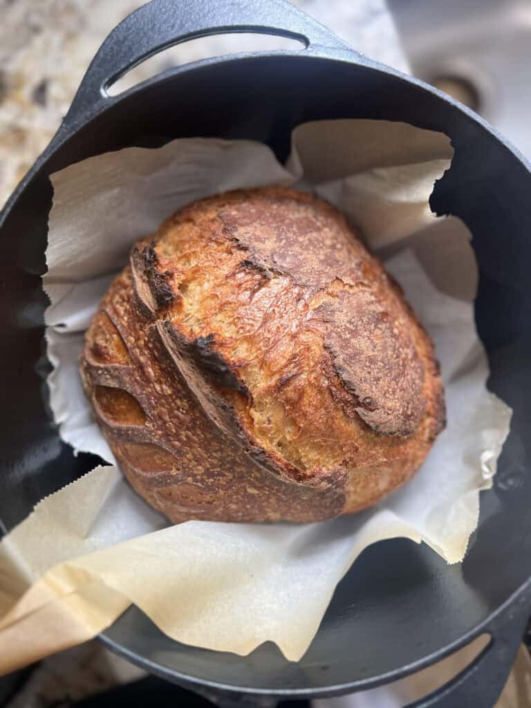Gingerbread Sourdough