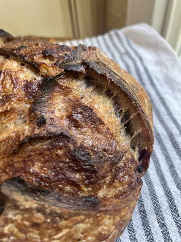 Blueberry + Cinnamon Sugar Sourdough Loaf