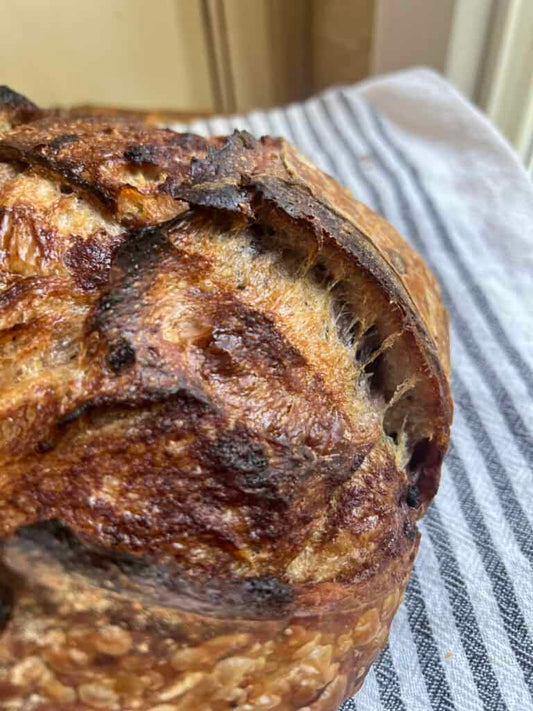 Blueberry + Cinnamon Sugar Sourdough Loaf