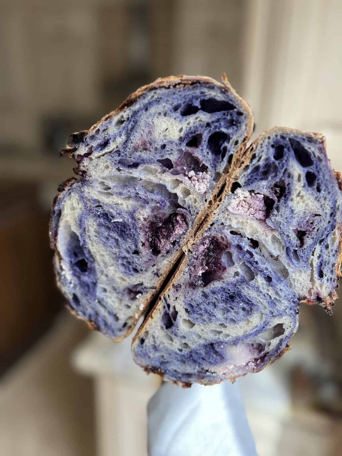 Blueberry Goat Cheese Sourdough Loaf