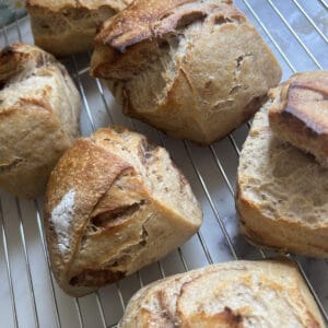 Mini Cinnamon Sugar Loaves