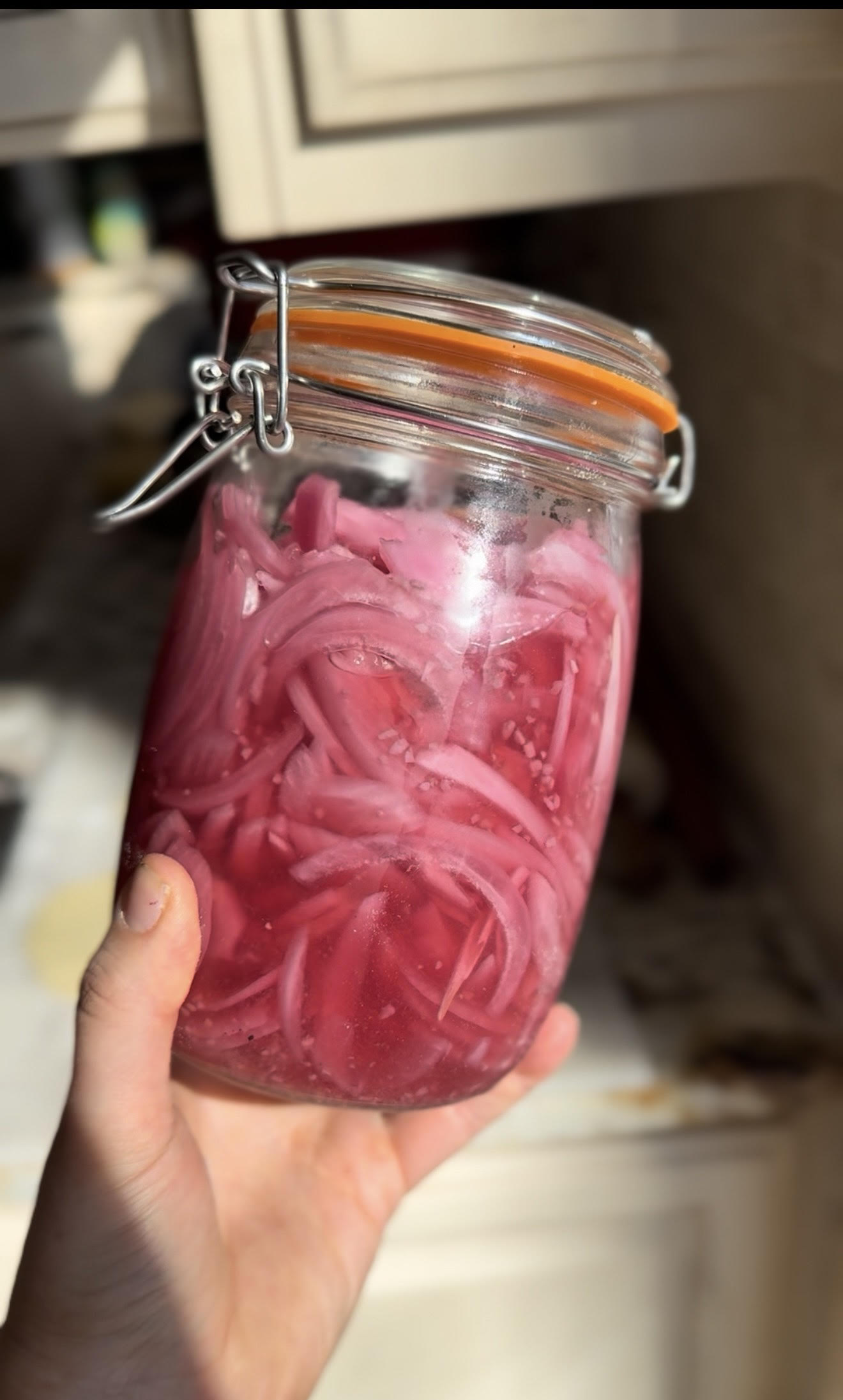 Easy Pickled Red Onions