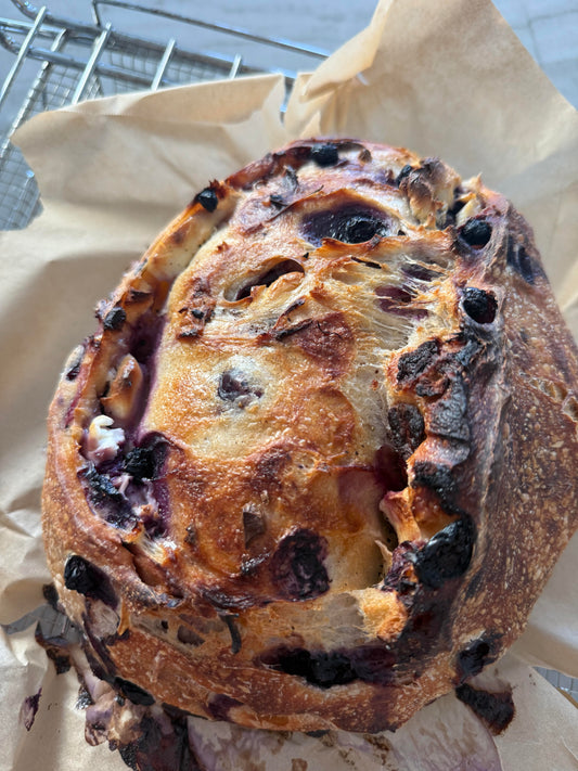 Blueberry Cream Cheese Sourdough Breakfast Bake