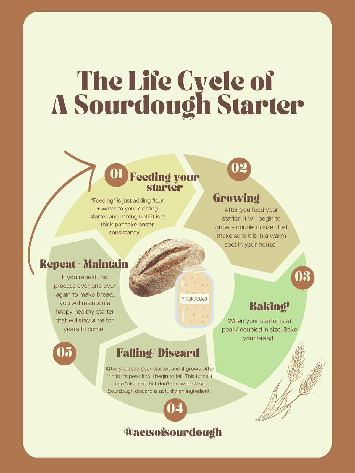 The Life Cycle of a Sourdough Starter, Simplified