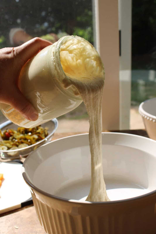 Sourdough Starter FAQ's: What Every Beginner Should Know