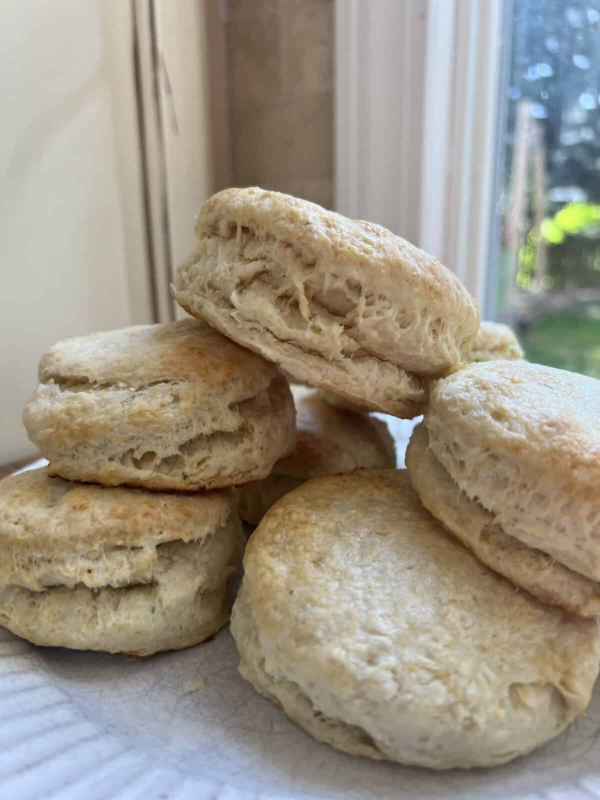 stack of sourdough biscuits