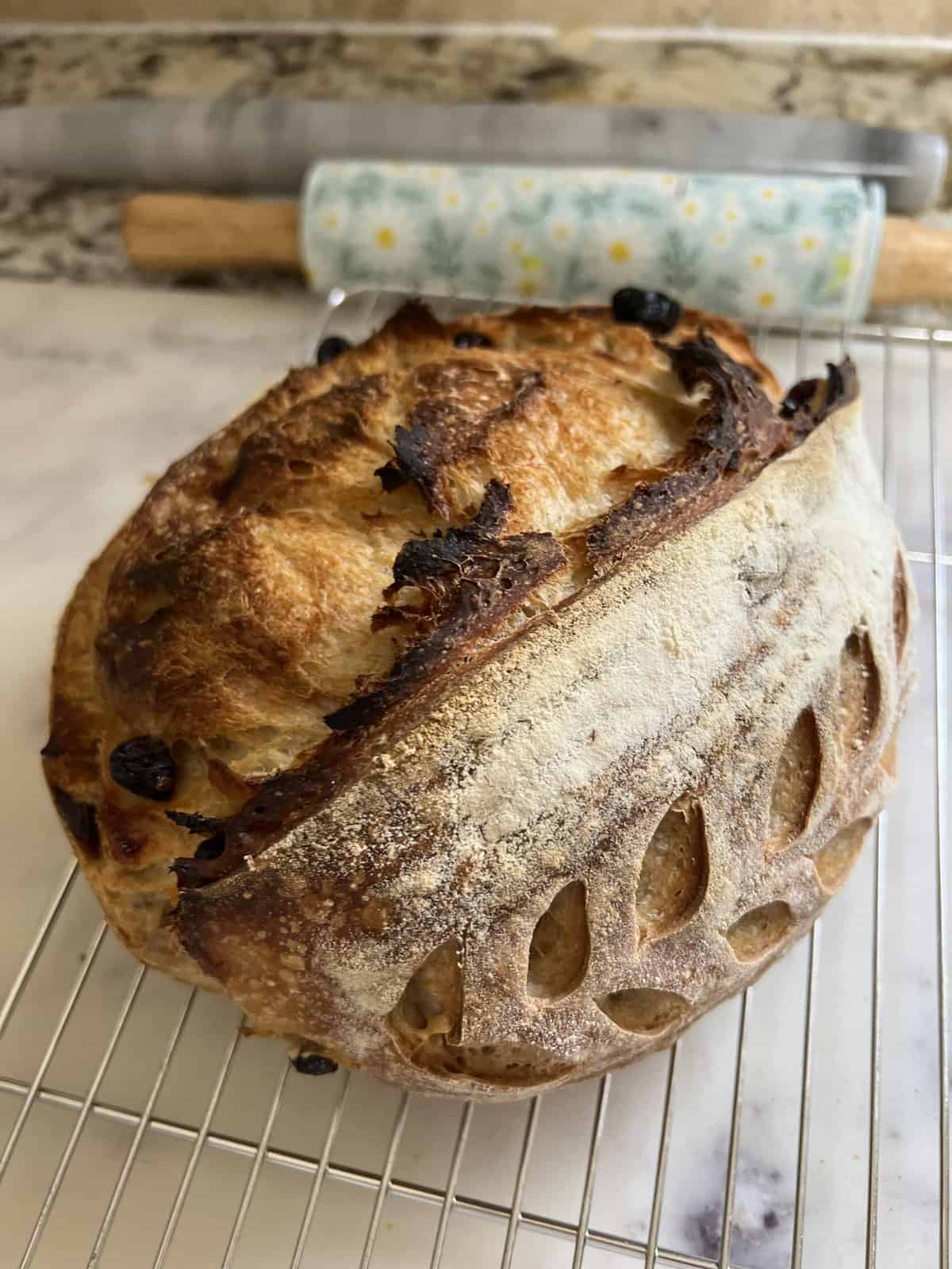 Cranberry + Orange Sourdough Loaf