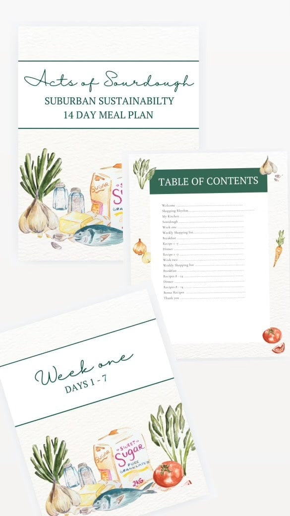Digital Bundle-Stuffed Sourdough Book + Suburban Sustainability Meal Plan + Soup Book