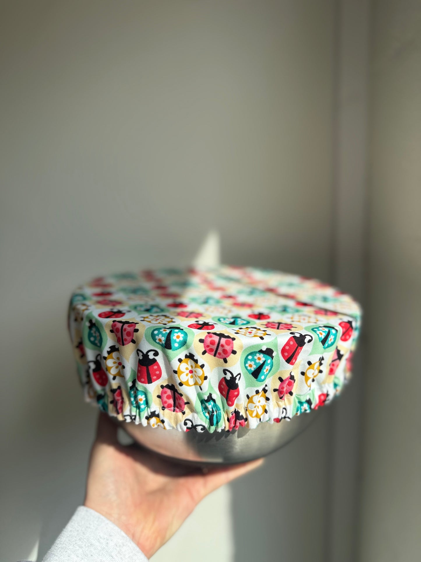 Ladybug Picnic Bowl + Jar Cover Set