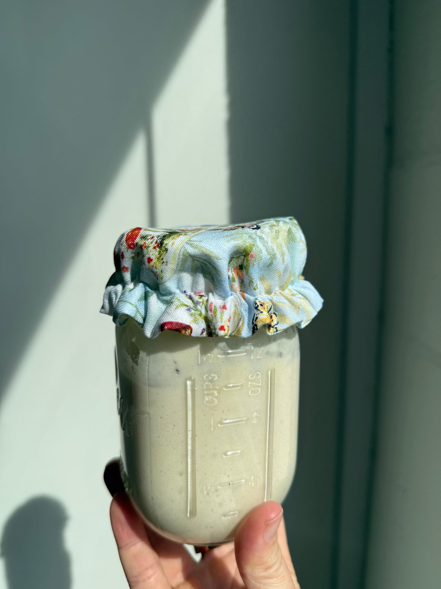 Assorted Mason Jar Sourdough Starter Covers