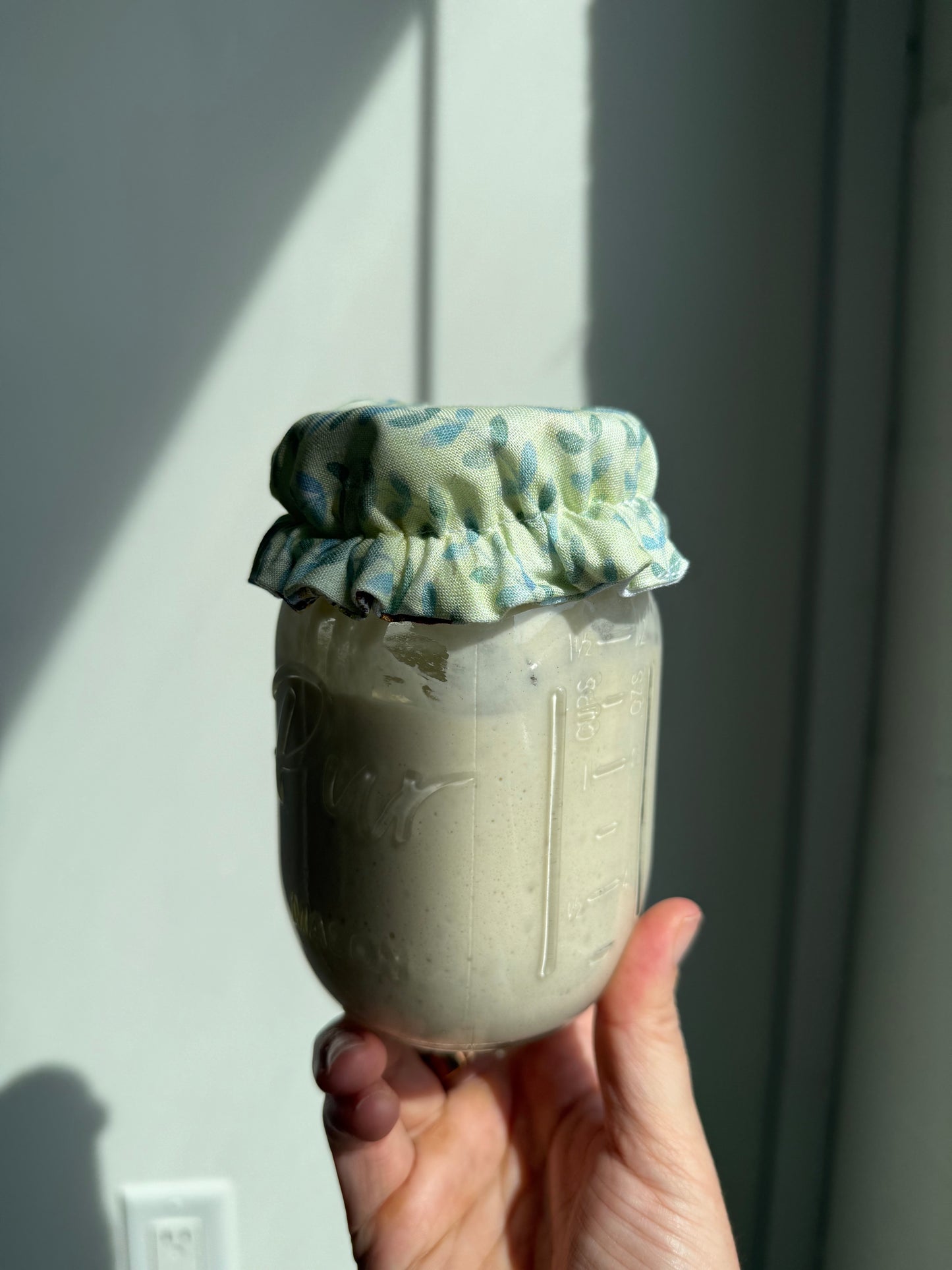 Assorted Mason Jar Sourdough Starter Covers