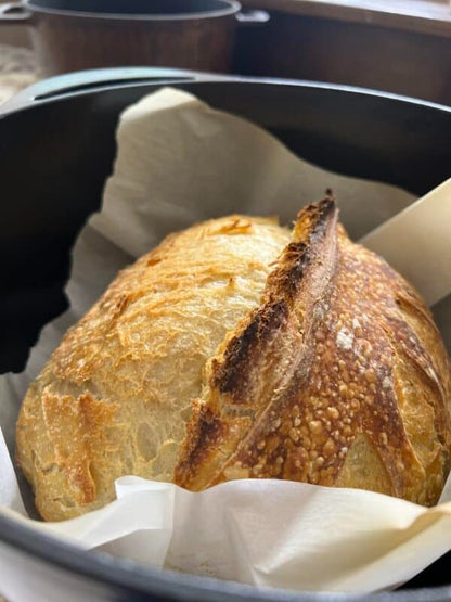 Sourdough Starter Flakes