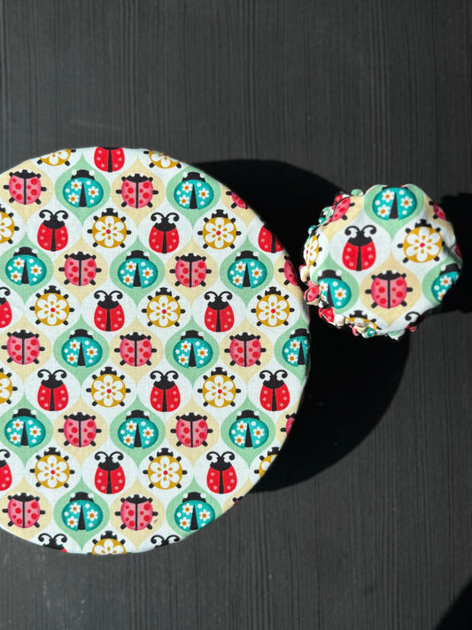 Ladybug Picnic Bowl + Jar Cover Set