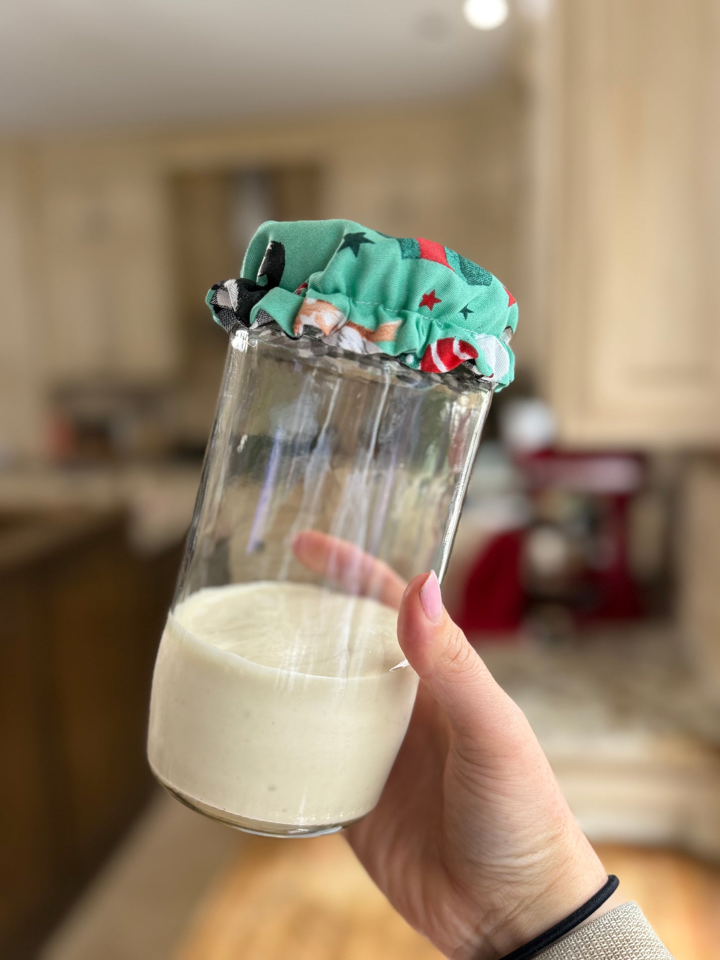 Holiday Jar Cover — Meowy Christmas