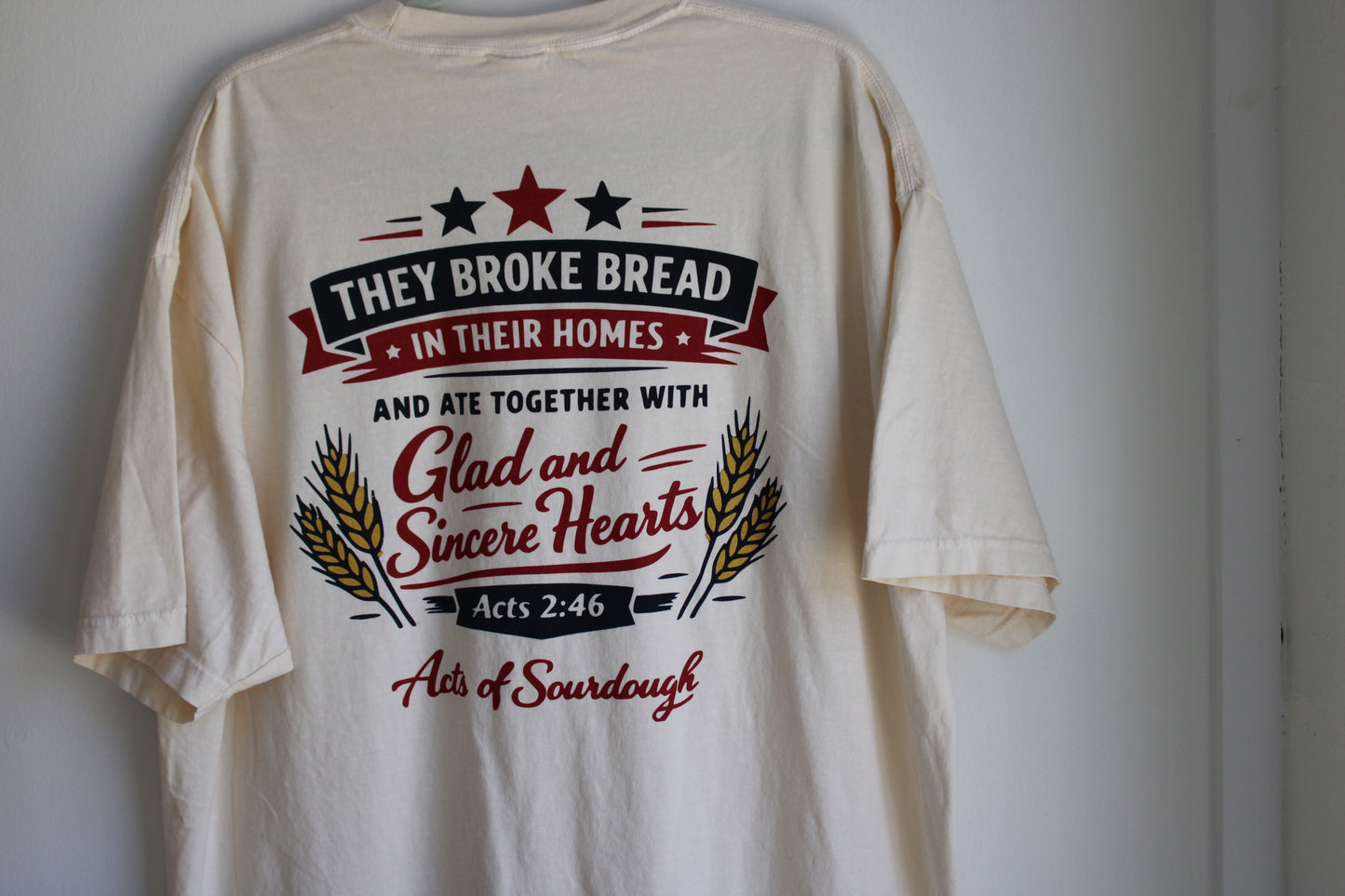 Americana Acts 2:46 Comfort Colors Tee