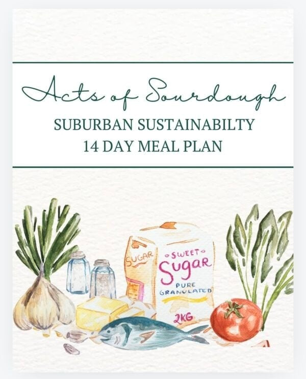 Digital Bundle-Stuffed Sourdough Book + Suburban Sustainability Meal Plan + Soup Book