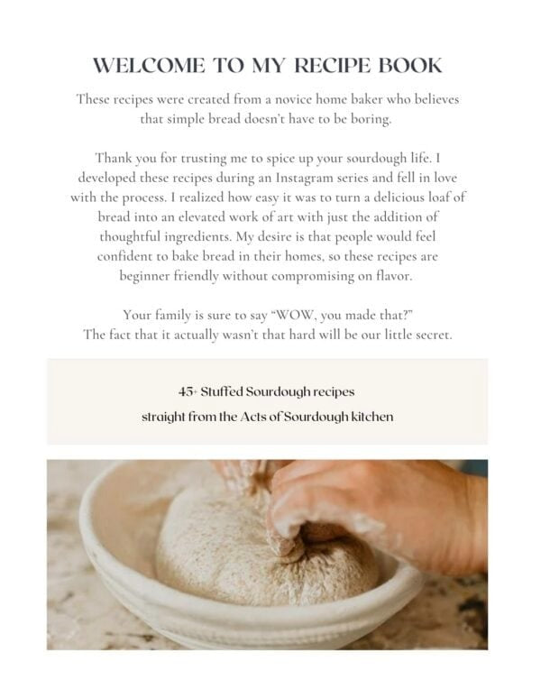 Digital Bundle-Stuffed Sourdough Book + Suburban Sustainability Meal Plan + Soup Book
