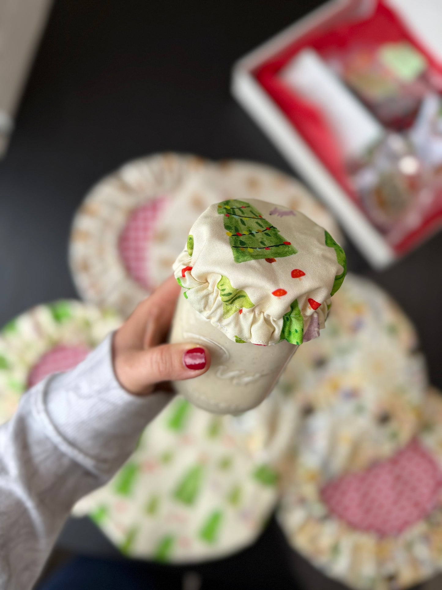 Sourdough Made Simple Gift Box — Holiday Edition