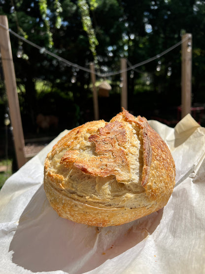 Christmas Beginner Kit — Sourdough Starter + Tools